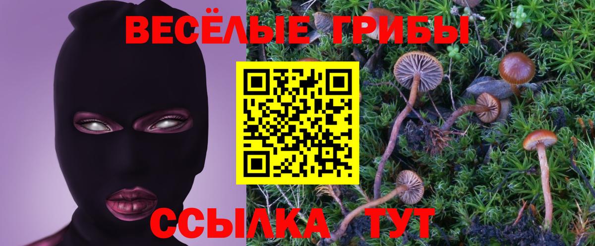 Псилоцибиновые грибы ЛСД Смоленск