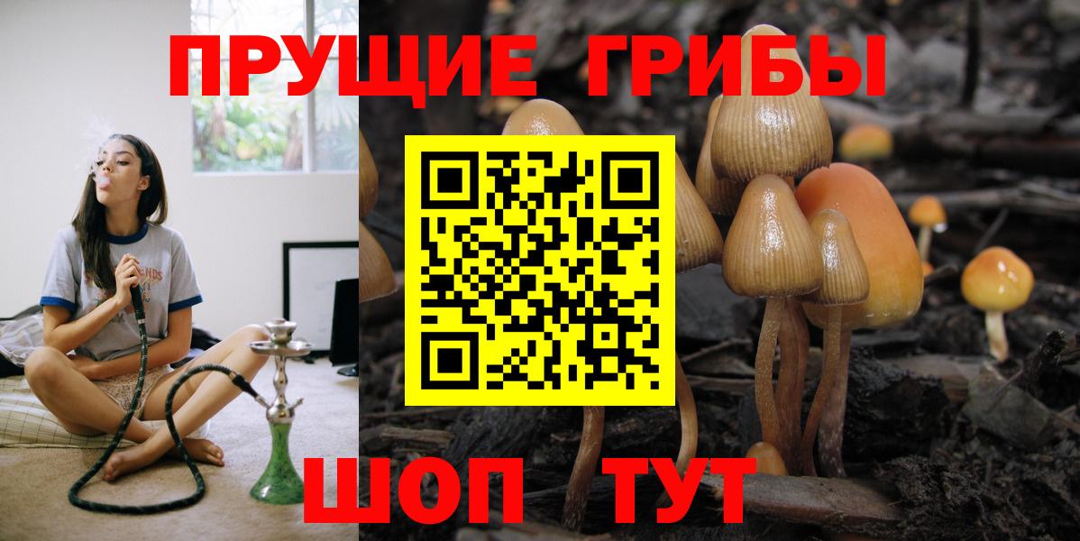 Псилоцибиновые грибы MAGIC MUSHROOMS  Галлюциногенные грибы GOLDEN TEACHER  Вход с VPN  Смоленск 